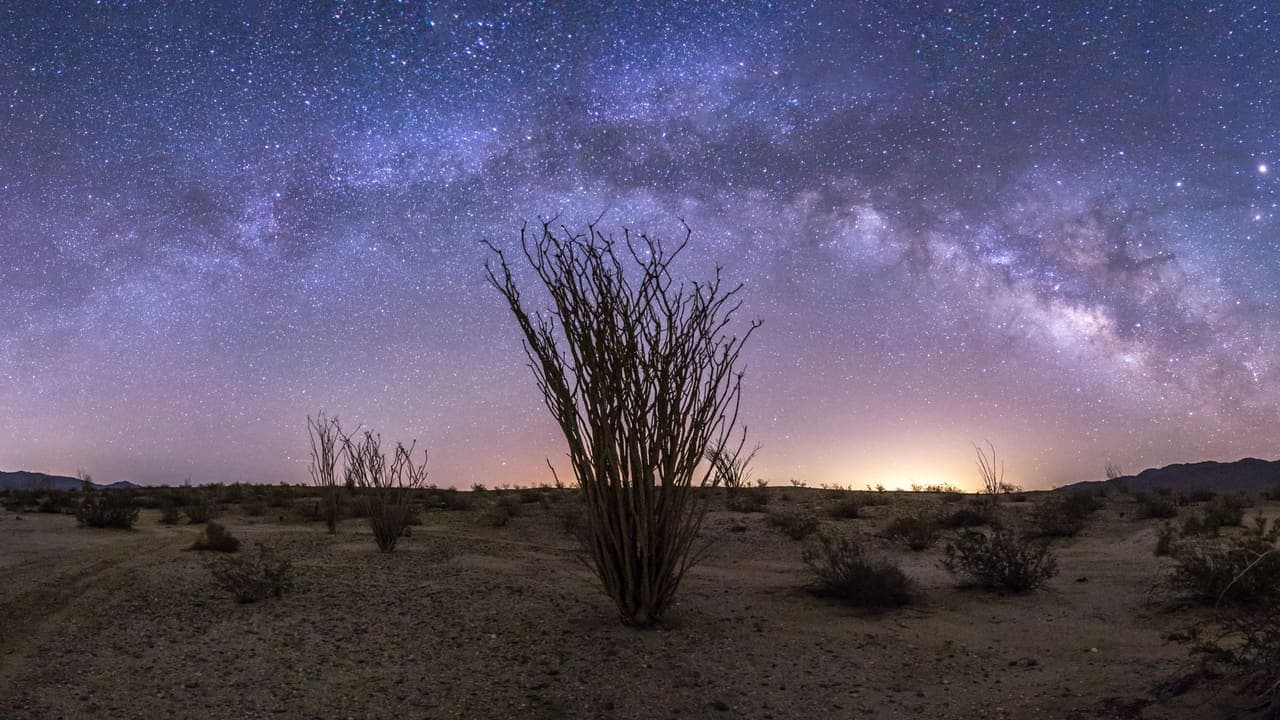 Borrego Stars