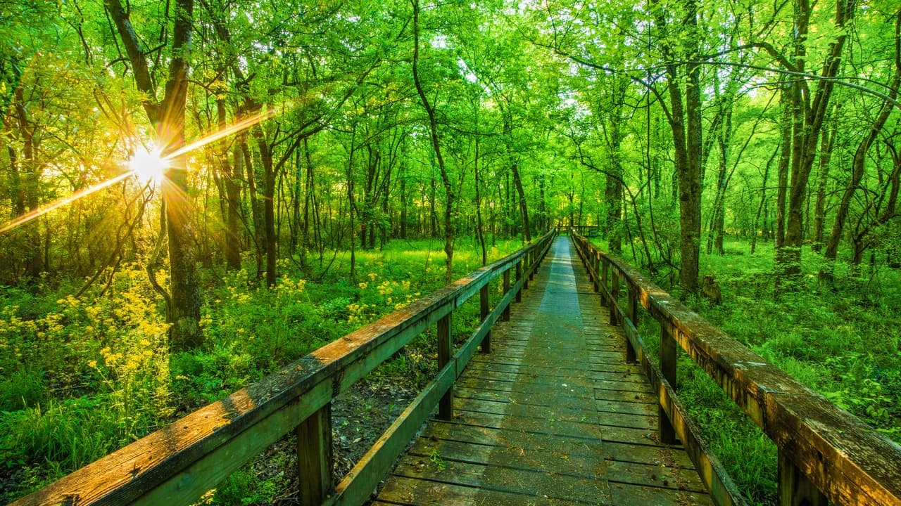 Hiking Natchez