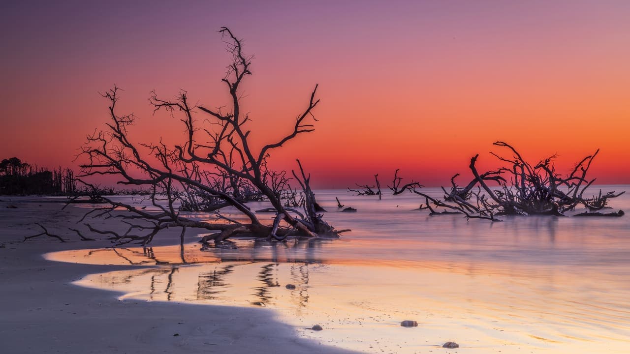 Boneyard Beach