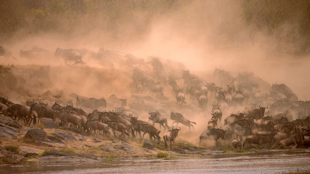 Mara Crossing