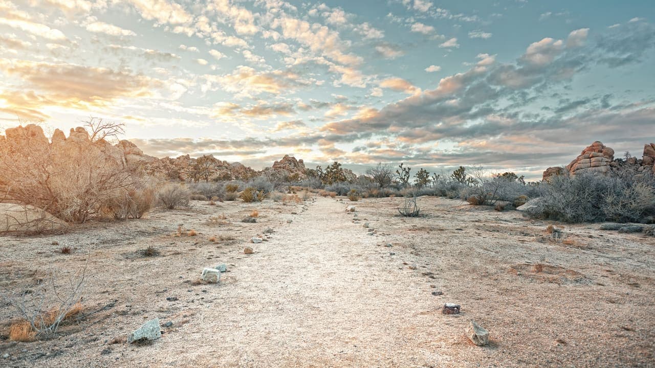 Sand Path